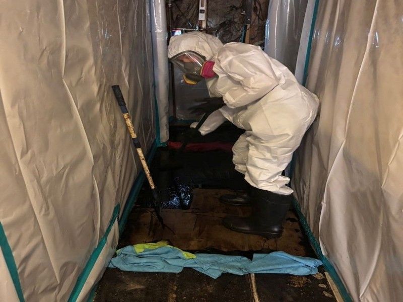 Protective equipment and wet removal process