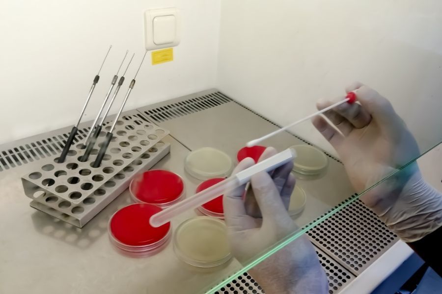 Professional conducting asbestos testing