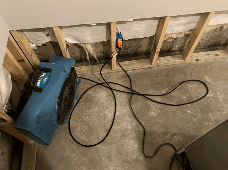 basement water damage cleanup