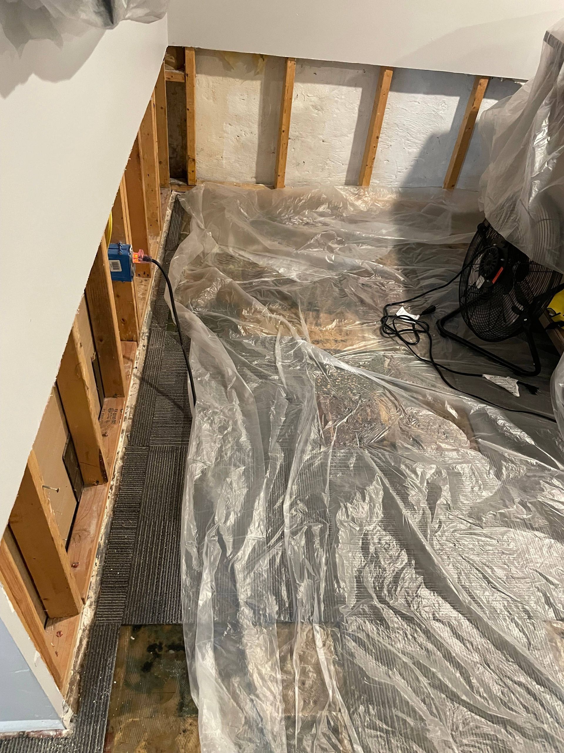 basement water damage cleanup