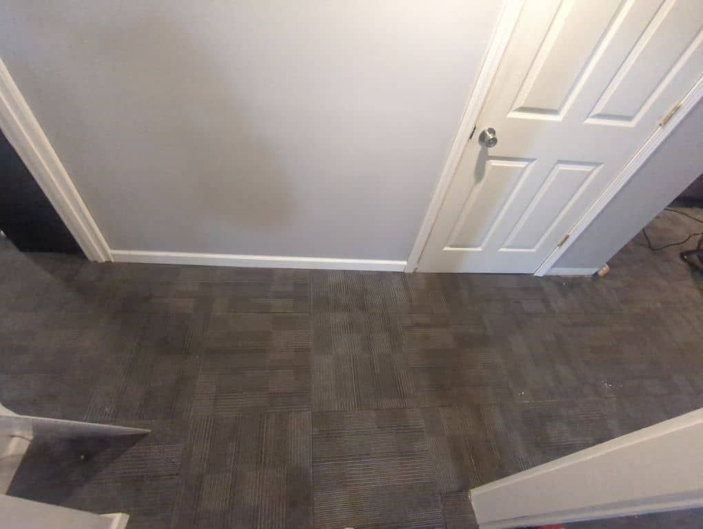 basement water damage mitigation