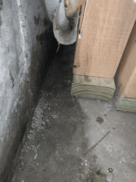 basement water damage