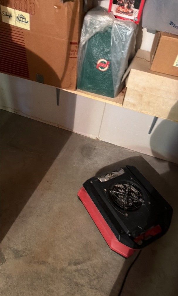 Professional air mover drying equipment set up in water-damaged basement