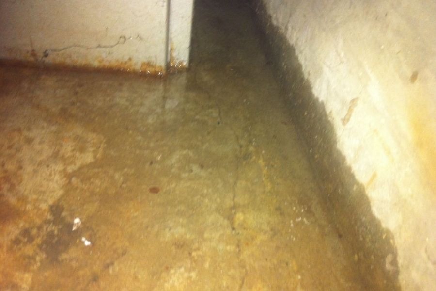 Standing water pooling in basement corner
