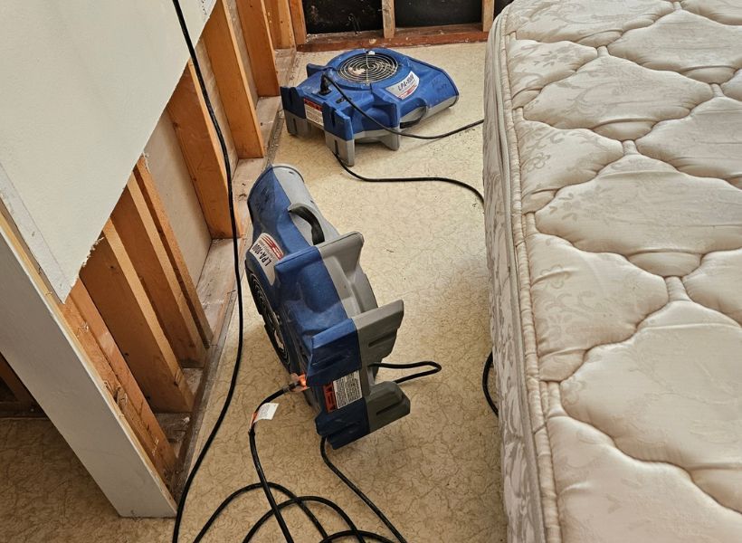 bedroom 2-flood cuts and dry out