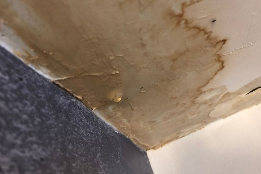 Water stain and bubbling paint on ceiling from winter water damage