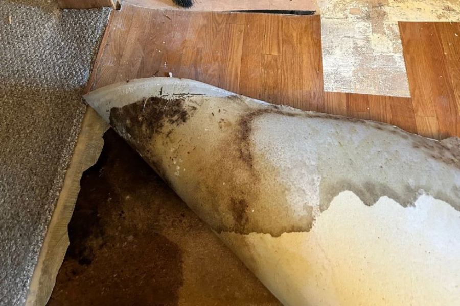 Damaged floor showing warped wood and water stains