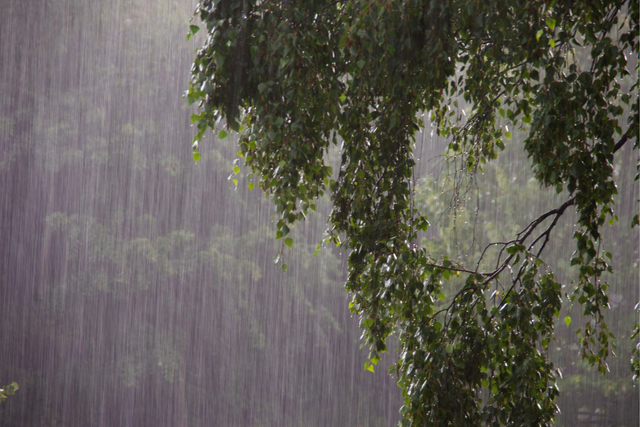 Heavy rain storm