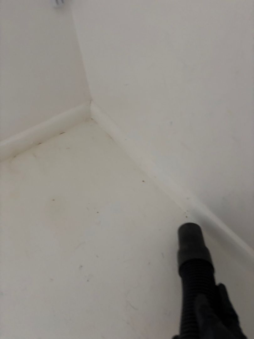 HEPA cleaning closet corner after mold removal
