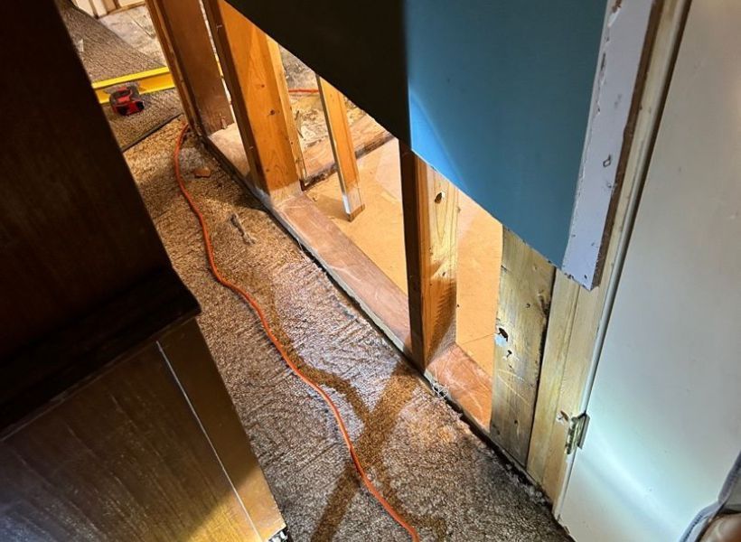 mold remediation completed