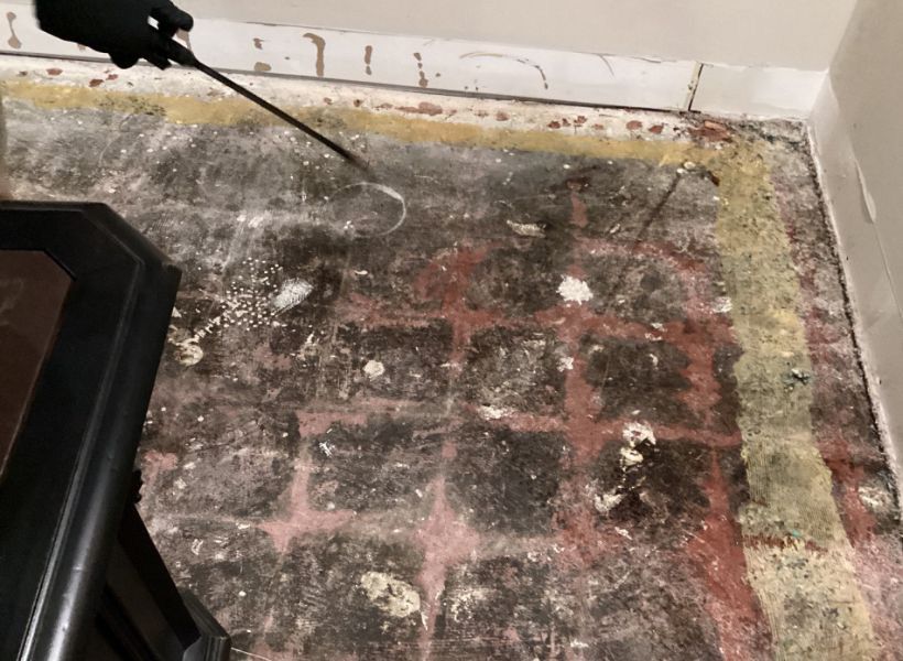Mold Removal St Louis MO