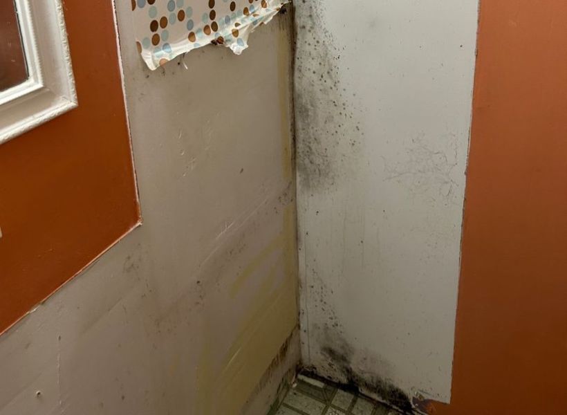 mold growth in bathroom