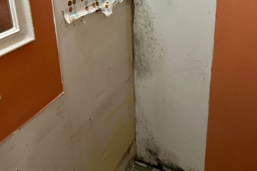 Mold growth in bathroom