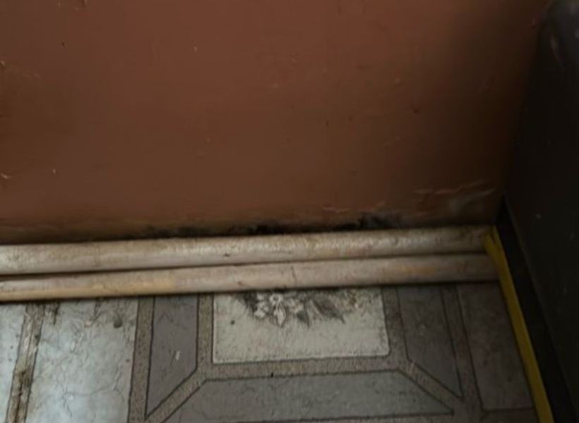 mold on bathroom baseboards
