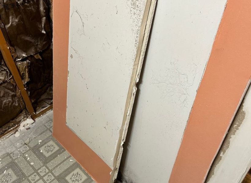 removing mold-damaged drywall