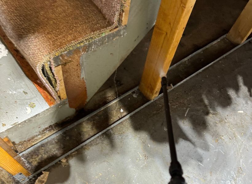 praying antimicrobial solution