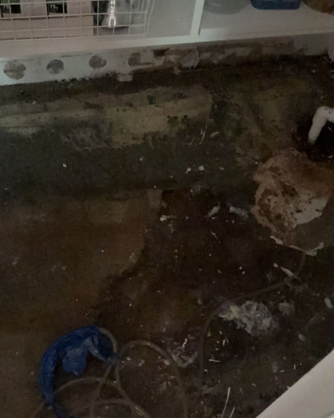 Water contamination on basement floor from sump pump failure