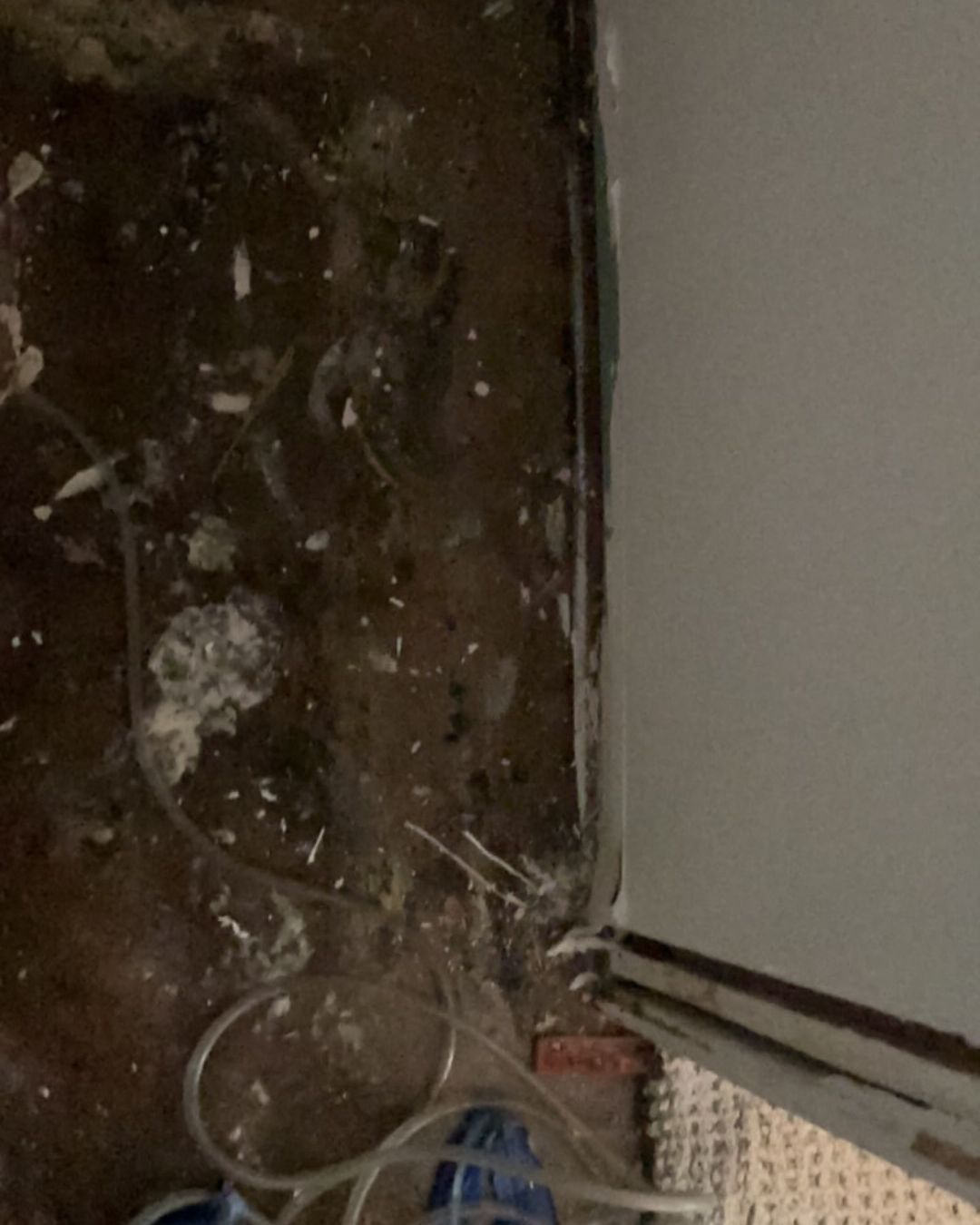 Water saturation at wall base from basement flooding