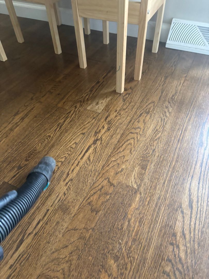 Vacuuming hardwood floor after mold remediation
