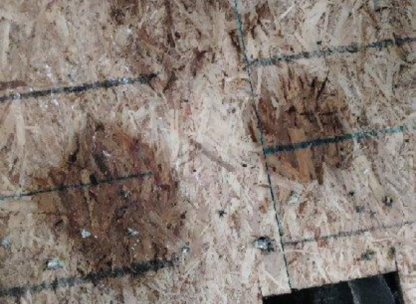 visible water damage on subfloor
