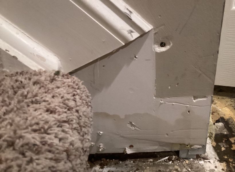 water mitigation - demo