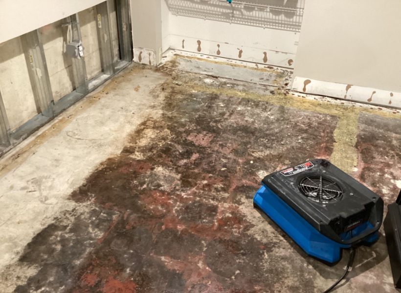 water mitigation - drying process