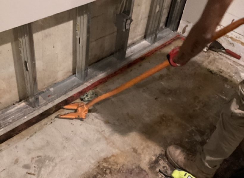 water mitigation process