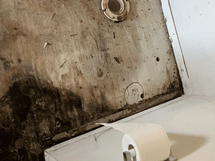 Mold In Bathroom Cleanup