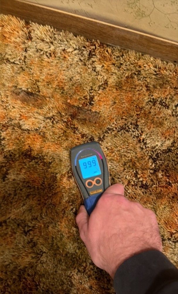 Moisture meter reading on wet carpet during water damage restoration