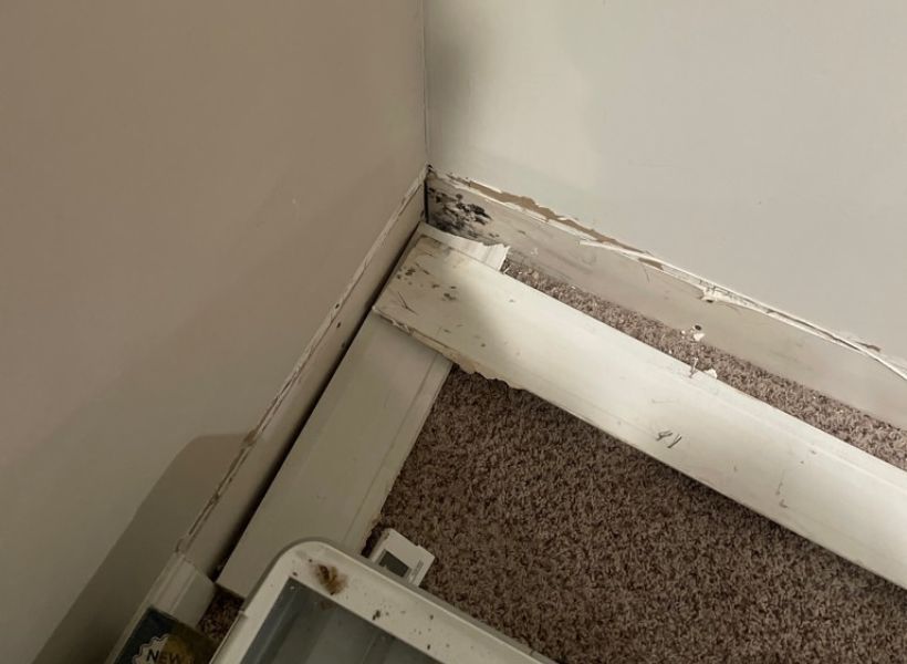 water-damaged drywall