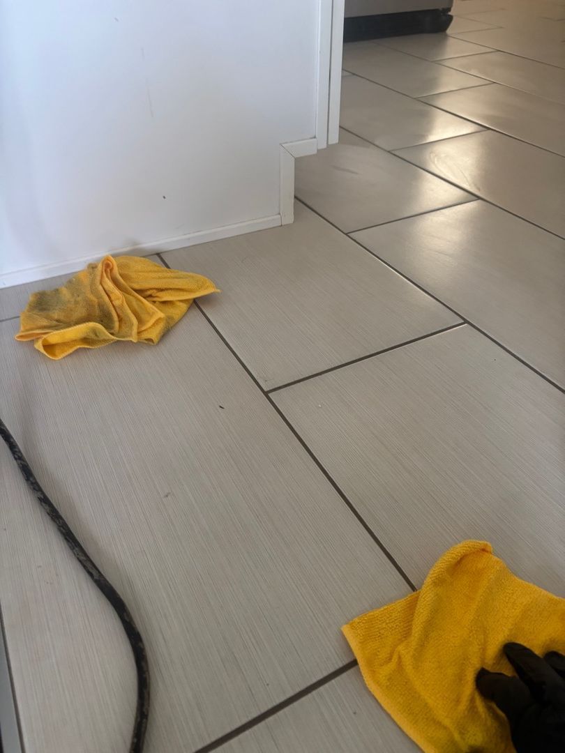 Team member wiping tile floor during mold cleanup
