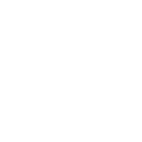 icona urna