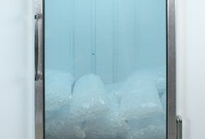 Ice Machine Repair — Packs Of Ice Inside A Refrigerator in Austin, TX