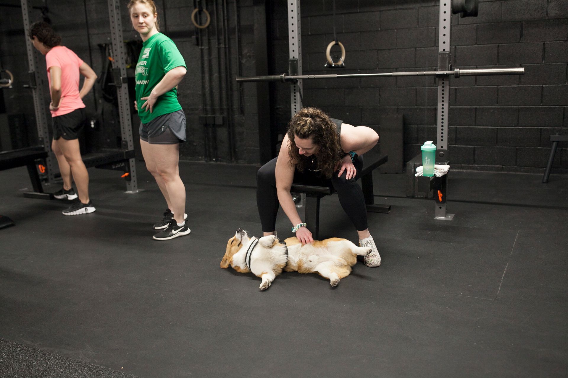 Woman petting a corgi dog on the floor of a gym, two women in the background.