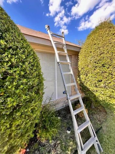 Ladder leaning against a brick building, set amongst green bushes under a blue sky.