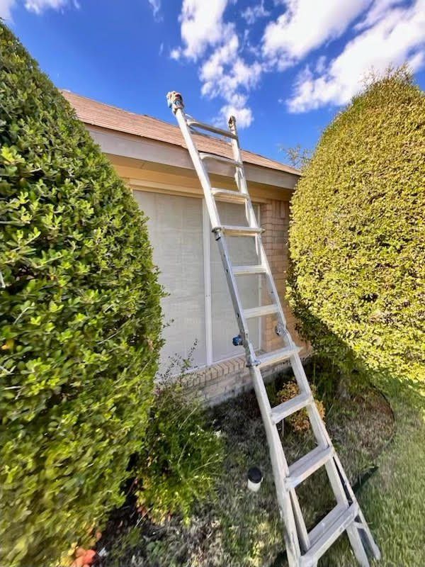 Ladder leaning against a house; between two large green bushes. Blue sky with clouds.