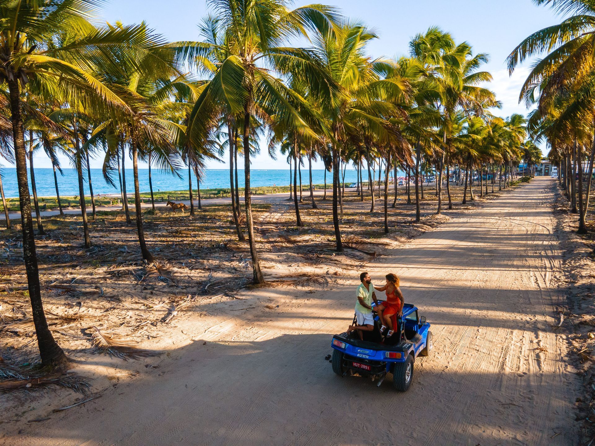 Casal em um buggy passeando por uma estrada de terra cercada por coqueiros, com vista para o mar em Porto de Galinhas.