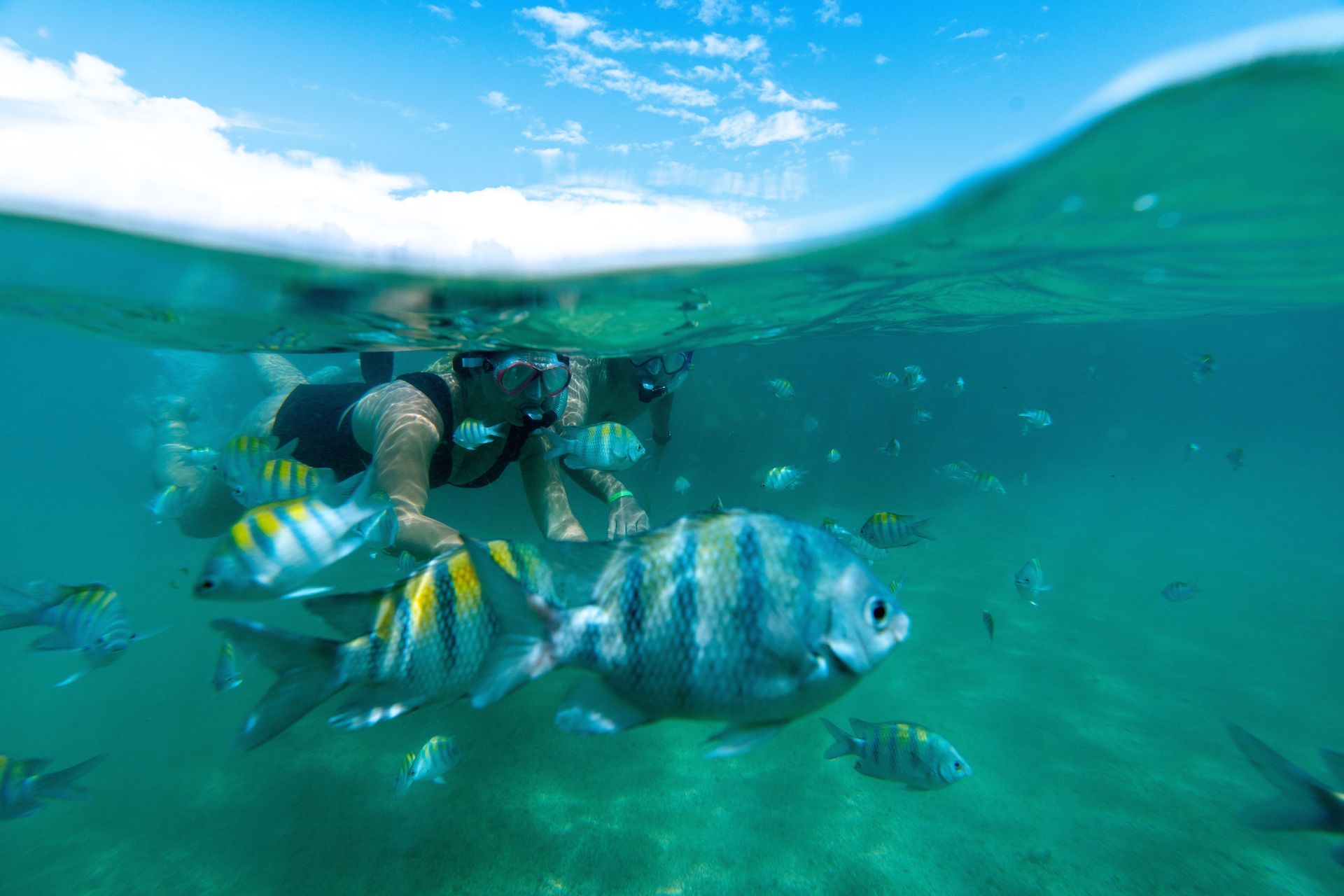 pessoas praticando snorkeling com peixes em água do mar transparente