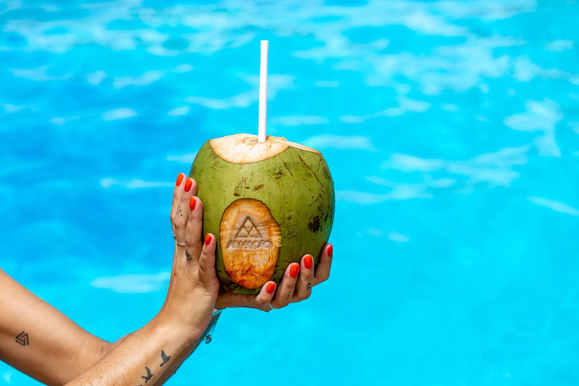 Mãos com unhas pintadas de vermelho seguram um coco verde com canudo branco, em frente a uma piscina de água azul cristalina. O coco traz a marca do Armação Resort gravada em sua casca.