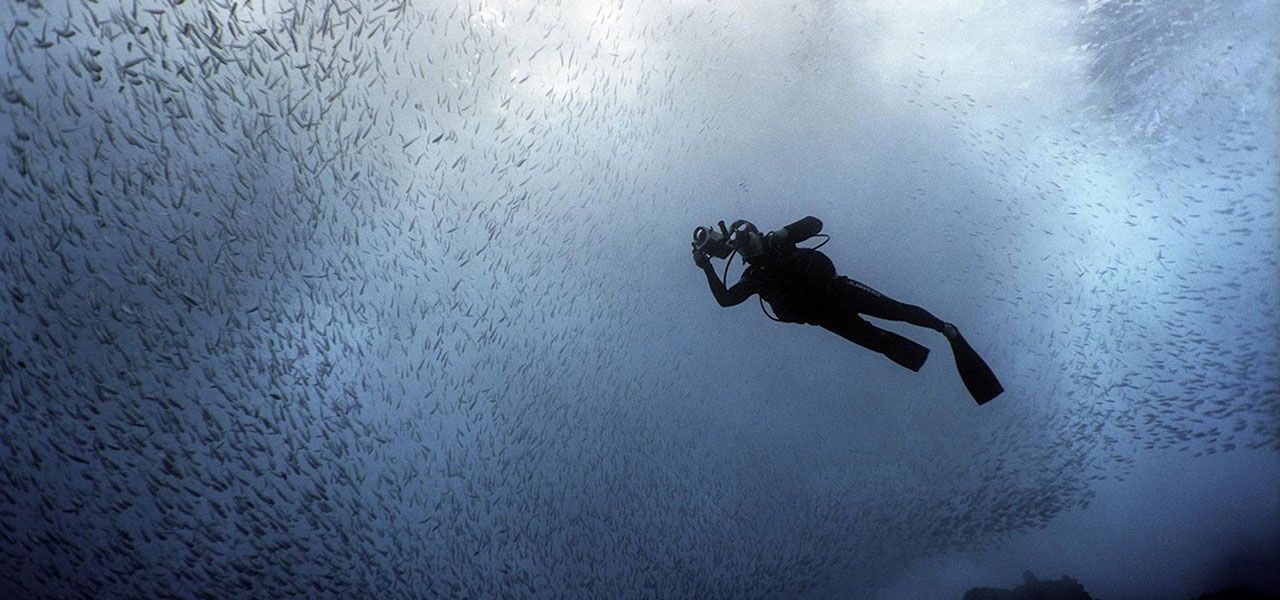 Turismo - Armação Resort