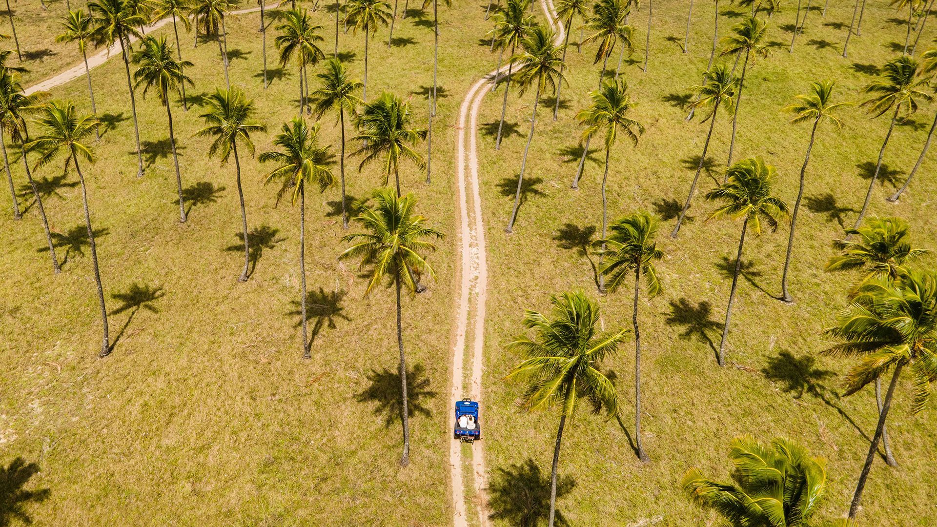 Turismo - Armação Resort