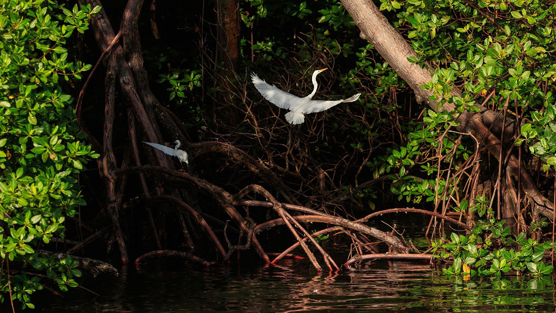 Turismo - Armação Resort