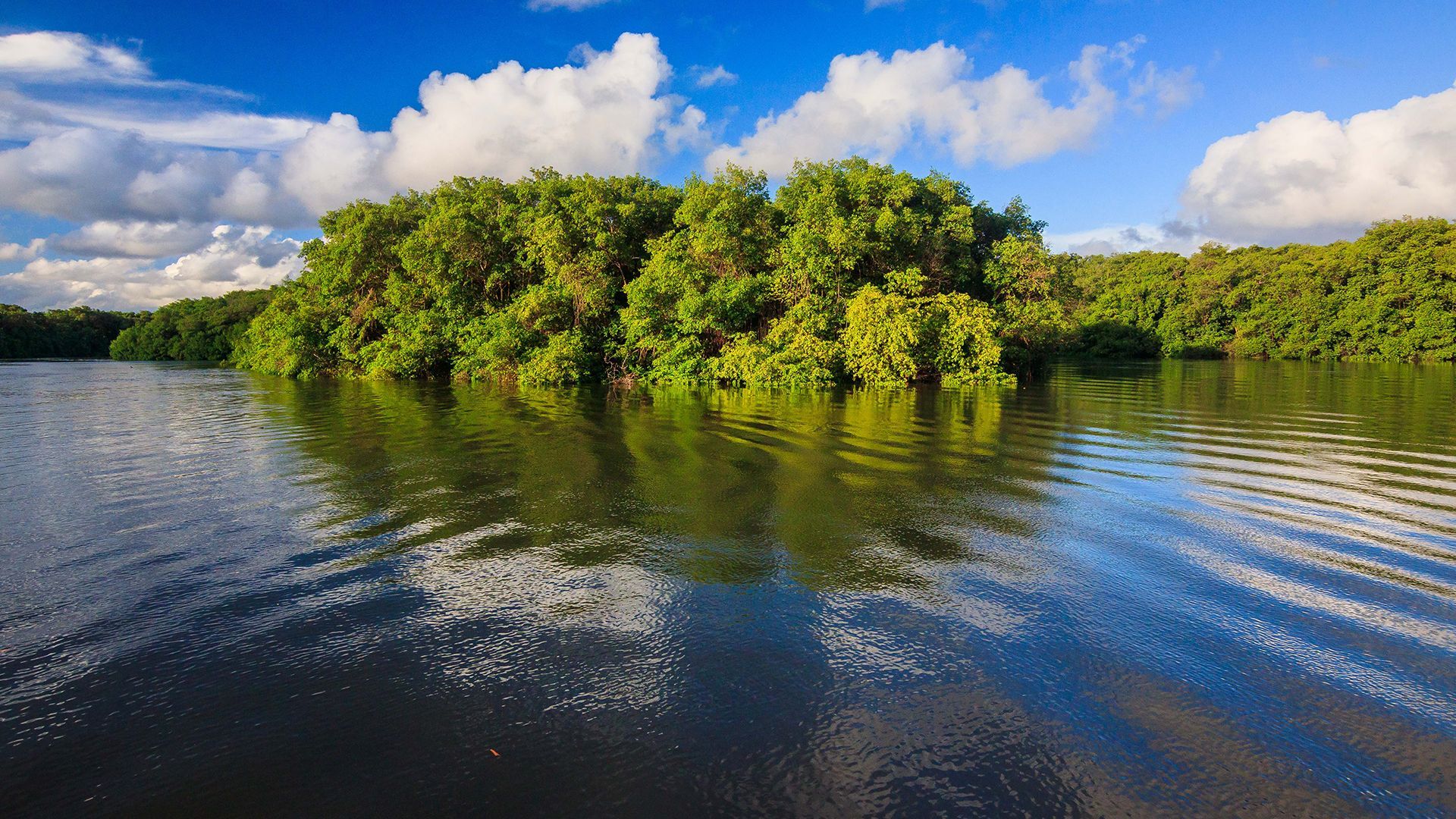 Turismo - Armação Resort
