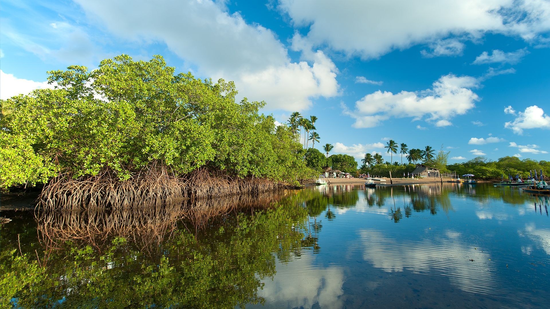 Turismo - Armação Resort