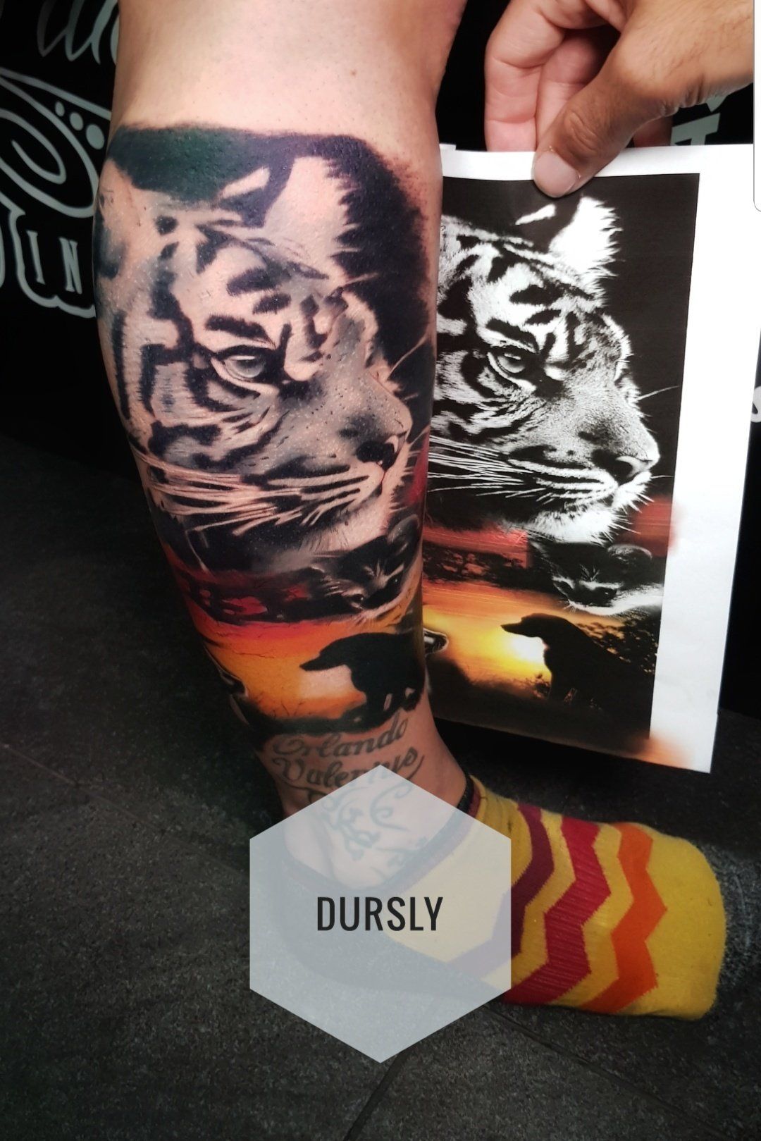 Tijger portrait black and grey colour tattoo