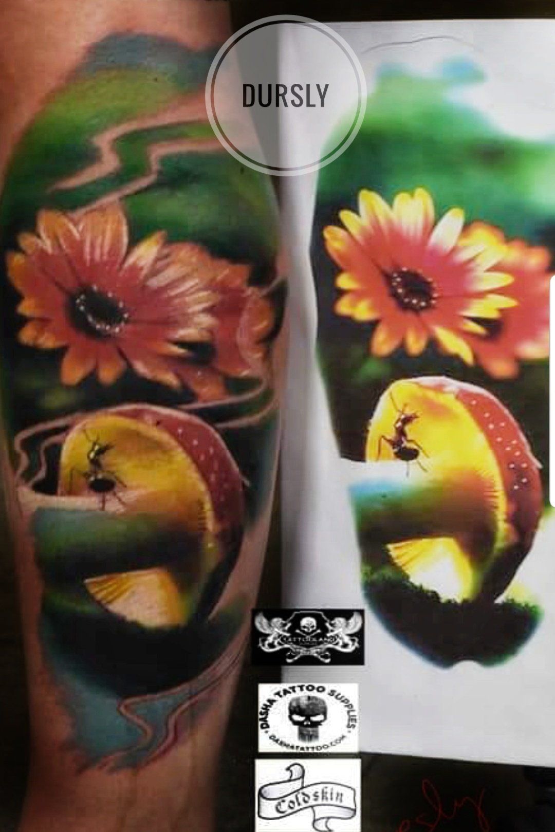 full colour paddestoelen tattoo