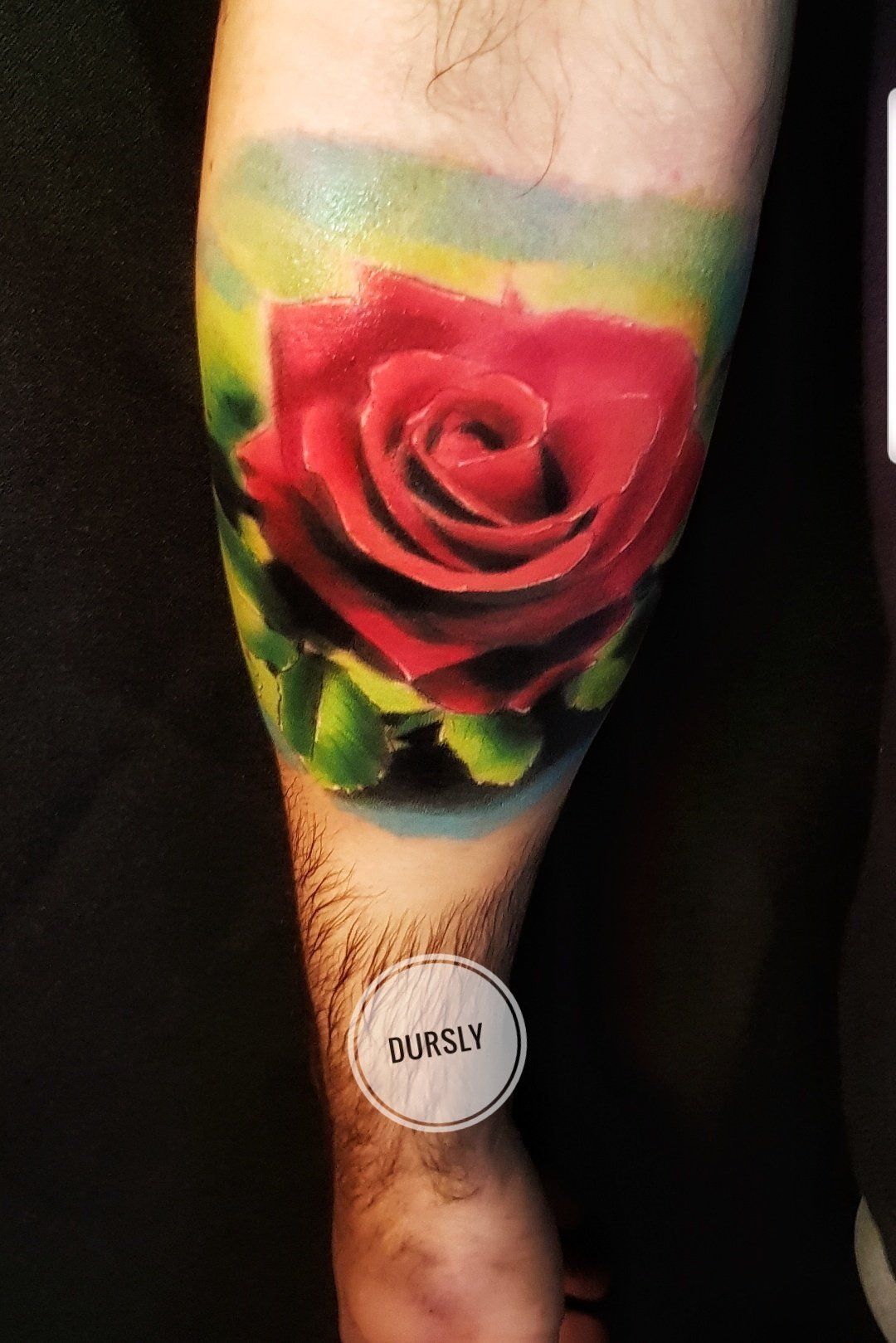 full colour rode rose tattoo