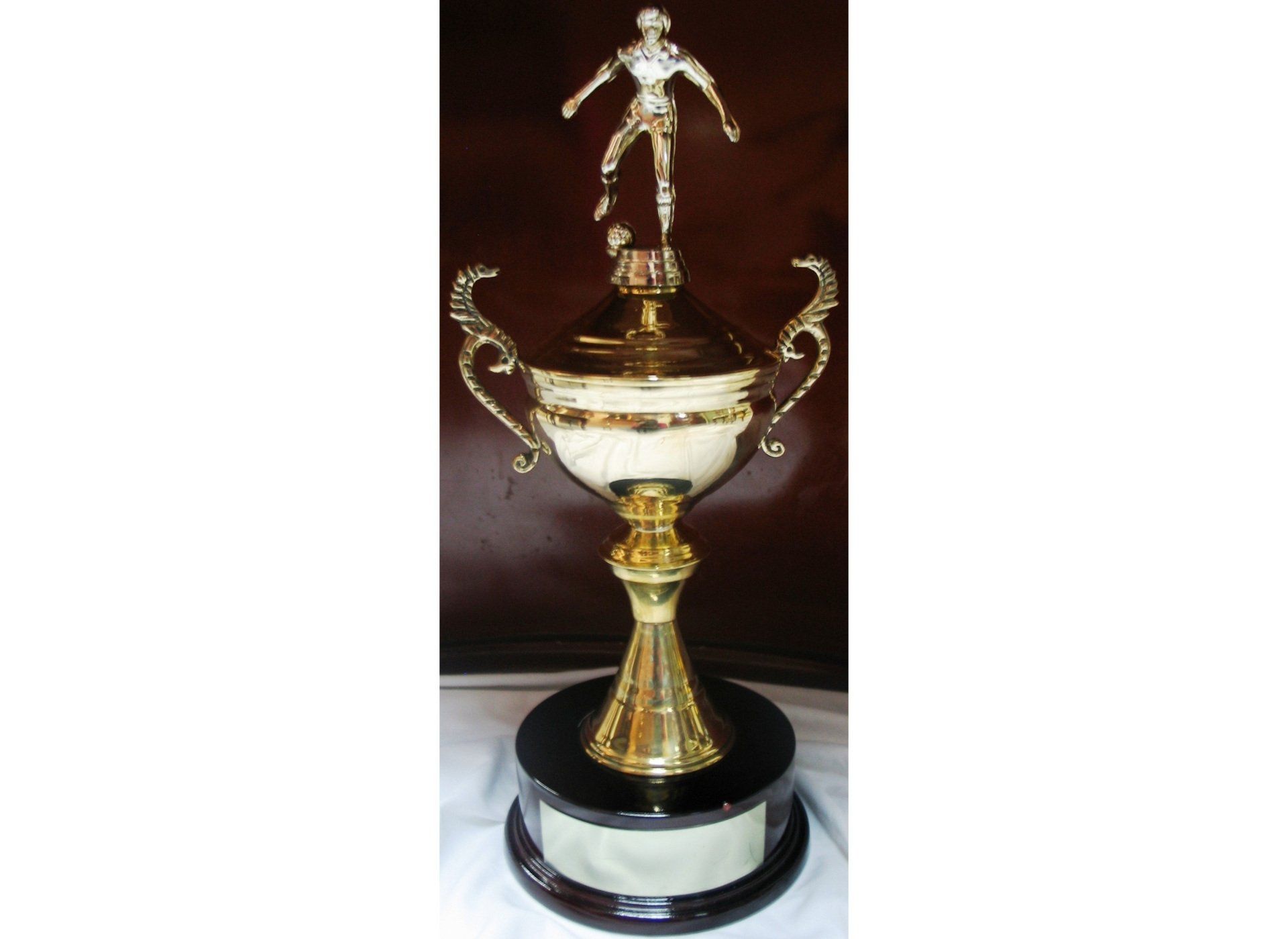 Relieves Rop - Trofeos y copas