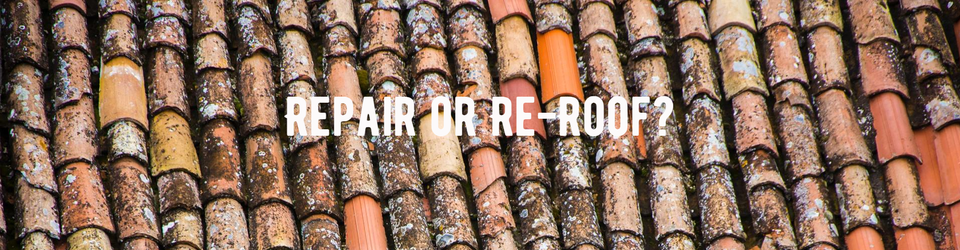 Repair or re-roof old roof
