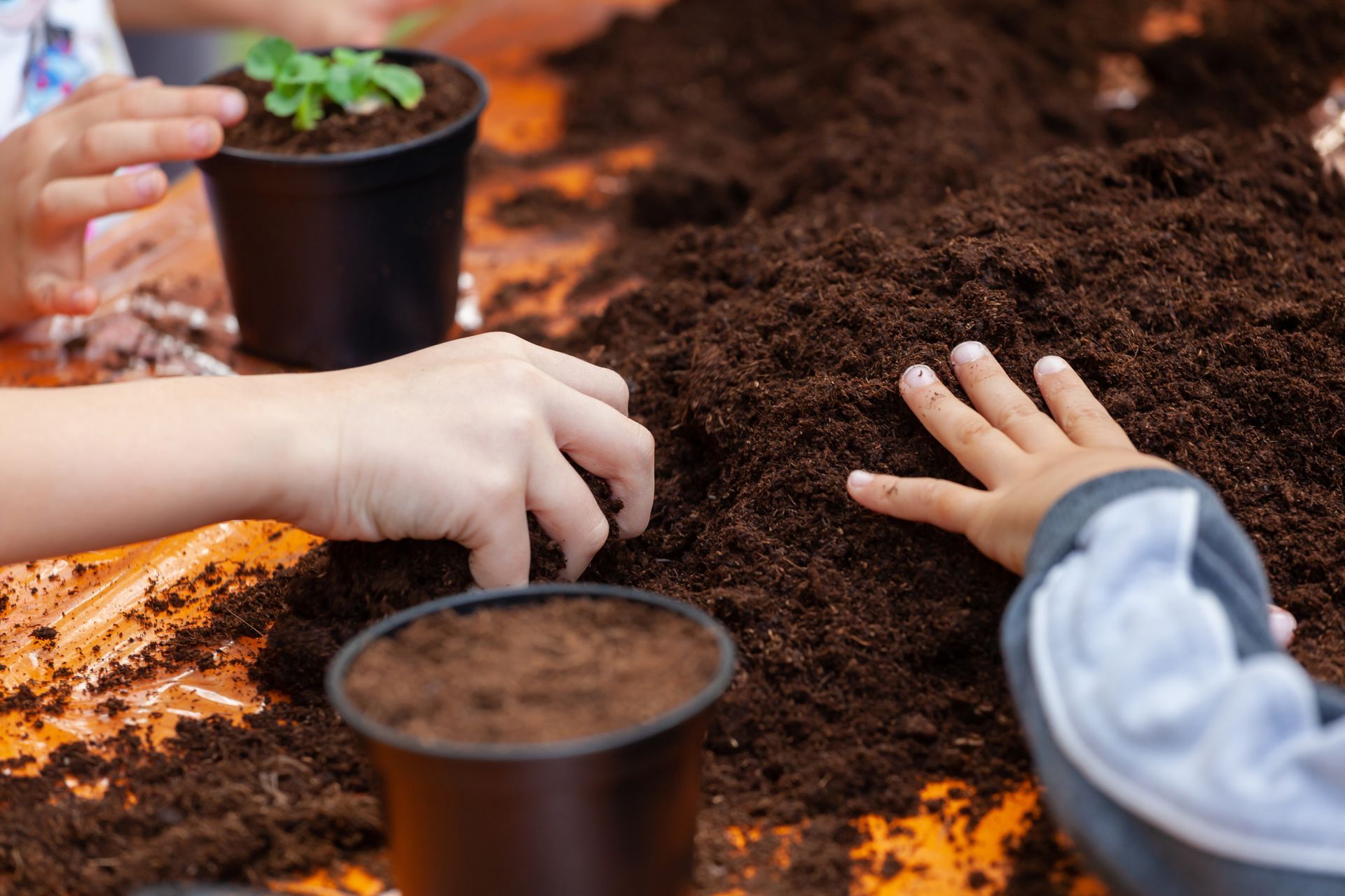 Full Circle Foundation Agriculture Programs